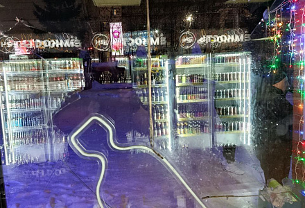 Задержаны и переданы полиции